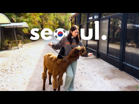 seoul vlog 🇰🇷 (all I did was eat)