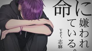 [Original MV] Hated by Life Itself. Cover ver Shima