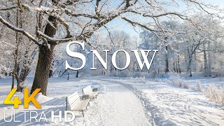 SNOW • Winter Relaxation Film 4K - Peaceful Relaxing Music - Nature 4k Video UltraHD