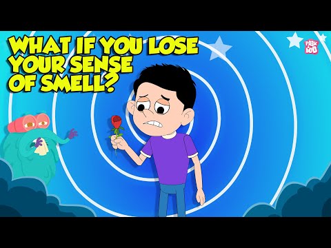 Can't Smell Anything? | What if You Lost Your Sense of Smell? | What is Anosmia? | Dr. Binocs Show