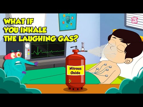 What If You Inhale Laughing Gas? | Nitrous Oxide Gas Side Effects | Dr. Binocs Show | Peekaboo Kidz