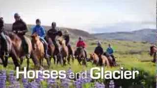 Iceland Adventure: Horses and Glaciers