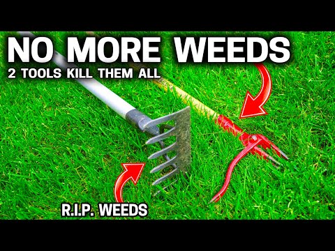 2 Must Have Tools to Conquer All Weeds