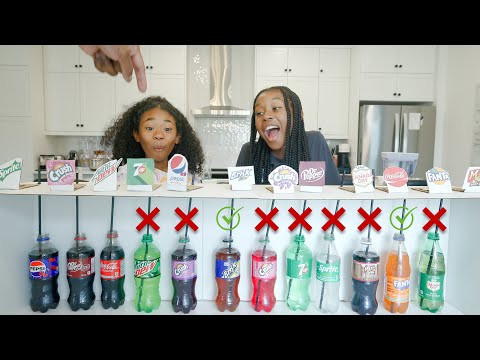 Soda Pop Challenge! | Sekora & Sefari Play