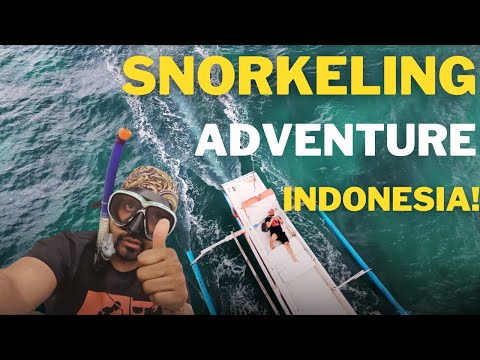 Snorkelling in Indonesia | Pink Beach Lombok Island | Indonesia | Lombok beach & tourist Places Ep 6