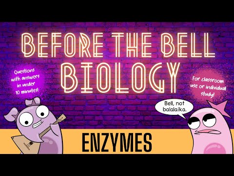 Enzymes: Before the Bell Biology