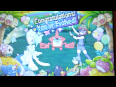 Moderator Celebration Stream Pokemon UsUm Viewer Battles