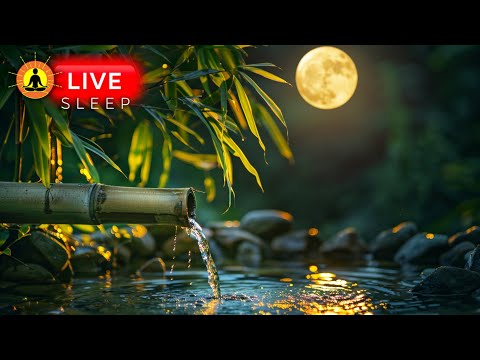 🔴 Relaxing Sleep Music for Insomnia 24/7 🌙3372 - Calming Sound Of Rain | Sleep Meditation Music