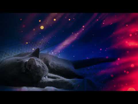 Cosmic Cat music for Cats and Cat owners (To chill with your cat)