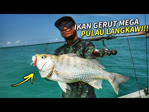 AWAS! DRAG MENJERIT Diserang Ikan Mega!! - Pulau Langkawi 2024 [ Part 3 ]