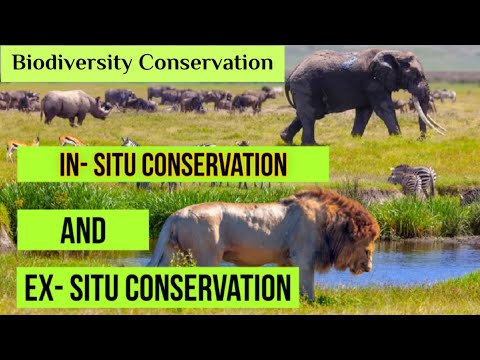 biodiversity conservation | ex situ and in situ conservation | 2021 hindi