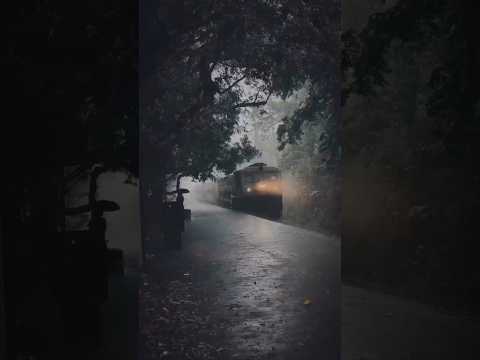 "Tranquil Train Passing in Rain | Peaceful Railway Station Sounds for Relaxation" #soothingsounds