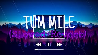 Tum Mile [Slowed+Reverb] - Javed Ali | Rahul | #TumMile #slowandreverb #Textaudio