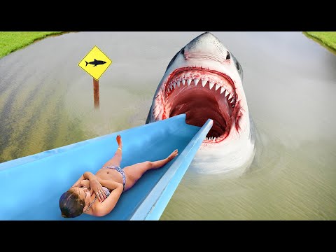 this SHARK water slide will give you nightmares..