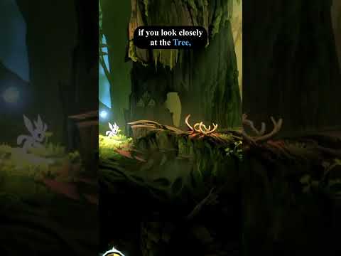 Did You Know That In Ori And The Blind Forest...