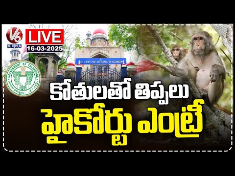 LIVE : Public Interest litigation Filed In High Court On Over Crowd Of Monkeys | V6 News