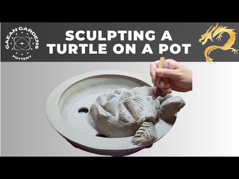 #turtleisland  p.2- 2 in 1: #turtle  on top of a #bonsai  pot for root over #sculpture