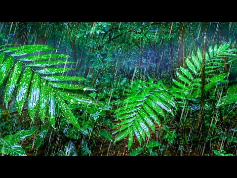 Rain Noise for Sleeping | Soothing Rain Sounds to Sleep & Relax