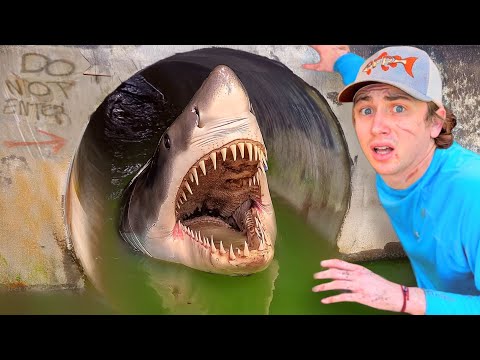 I Found a Hidden Tunnel FILLED with DEADLY FISH!