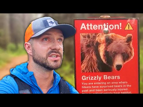 Camping Where a Grizzly Bear Tried to Kill Me.