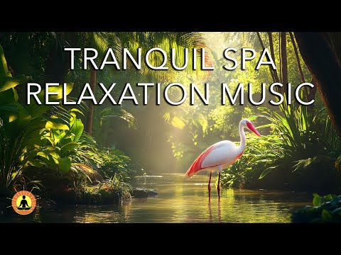 6 Hours of Spa Music Relaxation | Stress Relief Music, Relax Music, Massage Music, Ambient Spa Music