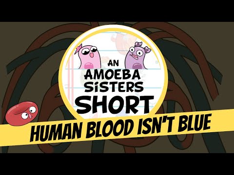 Human Blood Isn't Blue  - Amoeba Sisters #Shorts