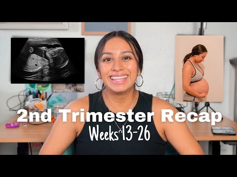 Second Trimester Recap | Pregnancy Symptoms, Products & Cravings