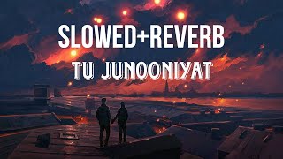 TU JUNOONIYAT (Slowed+Reverb)#lofimusic #sadsongs #slowedandreverb #songs