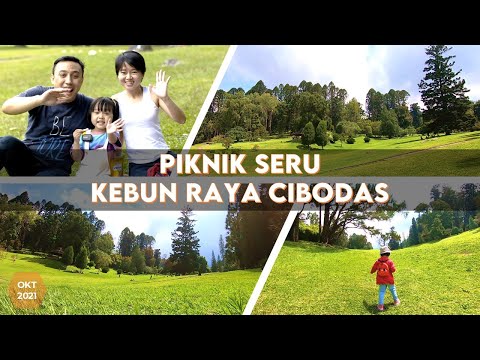 Review Terbaru 2022 Piknik Seru di Kebun Raya Cibodas @kebunraya_id | Auto Rileks & Stress Free