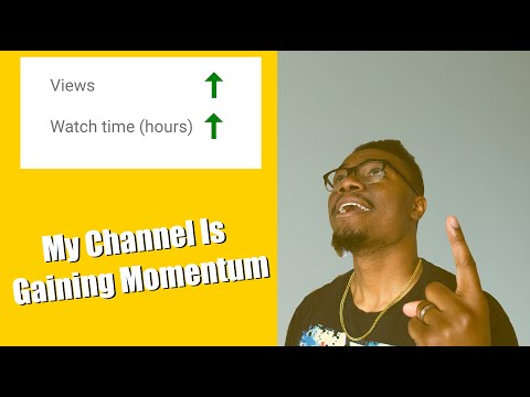 My Channel Is Gaining Momentum (August Analytics)