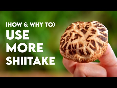 How to cook with Dried Shiitake (3 recipes)