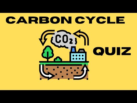 Carbon Cycle quiz