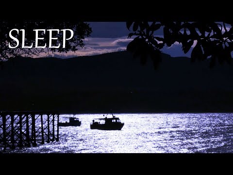 Sleep Music and Water Forest Sounds - Calming Night Scenery