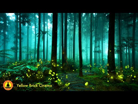 Relaxing Zen Music, Healing Meditation Music, Sleep Music, Rainforest Thunderstorm Sounds With Birds