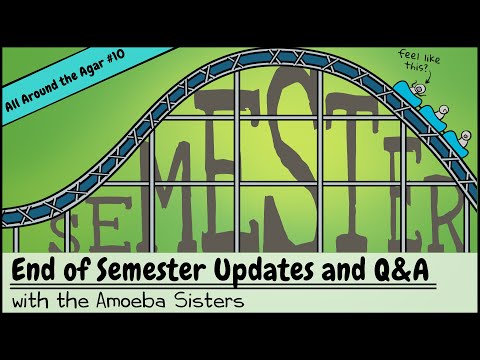 End of Semester Updates and Q&A