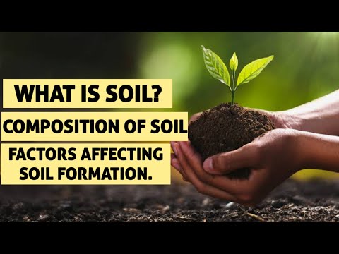 Soil and its composition. Factors affecting soil formation.