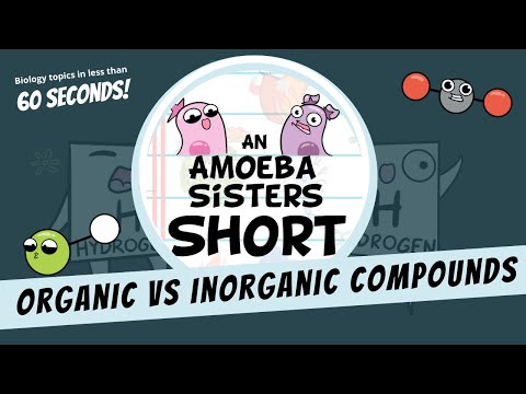 Inorganic vs Organic Compounds- Amoeba Sisters #Shorts