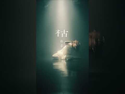 月詠み「秋うらら」Dance Performance Movie②