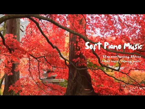 Tranquilize, Peaceful and Beautiful Piano Music for Comfortable Mind, Focus, Stress Relief Music