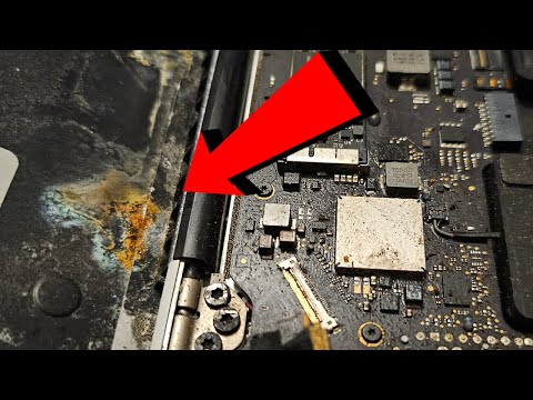 Macbook Dropped in a Pool. Let's Try to FIX It! (Macbook Air Restoration)