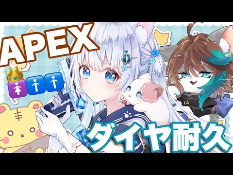 〖apex〗ダイヤ耐久💎ランクで強い女の子になる！withとらこ‼️小子内くん‼️〖#vtuber / #猫海ましろ /#初見さん大歓迎〗