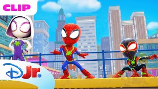 Marvel's Spidey and his Amazing Friends | Dinosaurs on the Loose! 🦖 | @disneyjr​