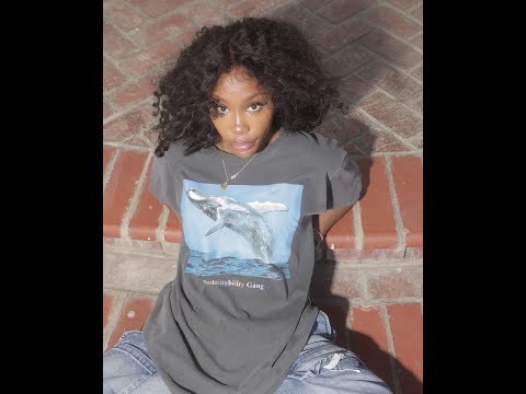 [FREE] SZA x H.E.R Type Beat "What Are We?"