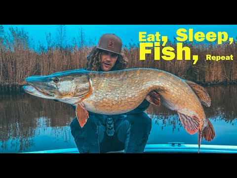 Dusk till Dawn Fishing - Eat, Sleep, Fish, Repeat.