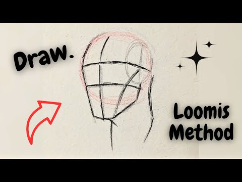 How to draw The loomis method drawing head