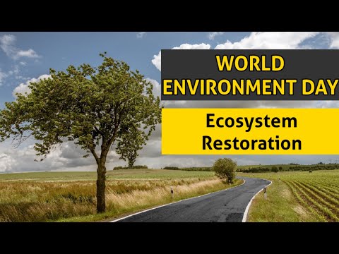 World Environment Day 2021