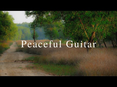 Peaceful Relaxing Guitar Music | Work Study Focus | 1 Hour