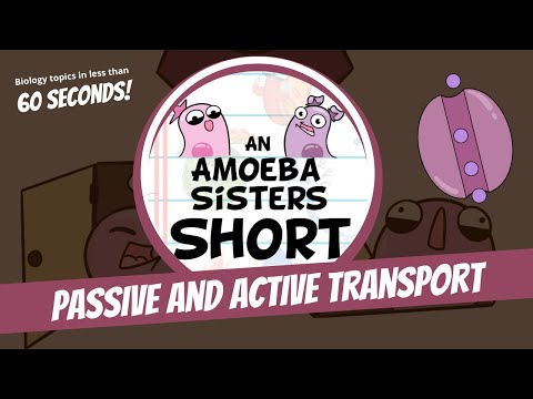 Passive and Active Transport - Amoeba Sisters #Shorts