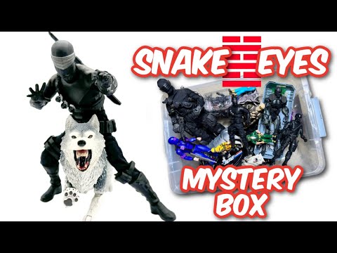 Snake Eyes Action Figures - A GI JOE MYSTERY BOX!