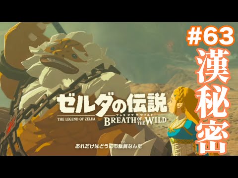 ダルケルの背中を追ってみたら衝撃の事実が…#63【ゼルダの伝説 ブレス オブ ザ ワイルド】